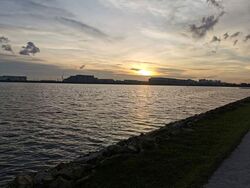 Blk 411 Pandan Gardens (Jurong East), HDB 3 Rooms #550979561